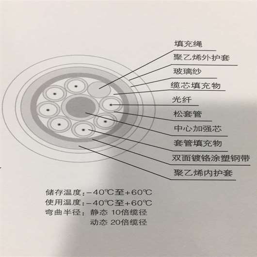 層絞式63護(hù)套光纜GYFTS63